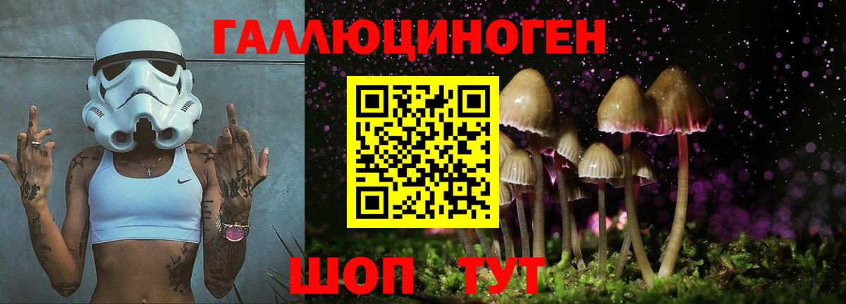 Лабытнанги  Псилоцибиновые грибы Cubensis  Галлюциногенные грибы GOLDEN TEACHER  Вход с VPN 